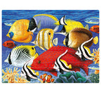 Fish School 250 Pieces