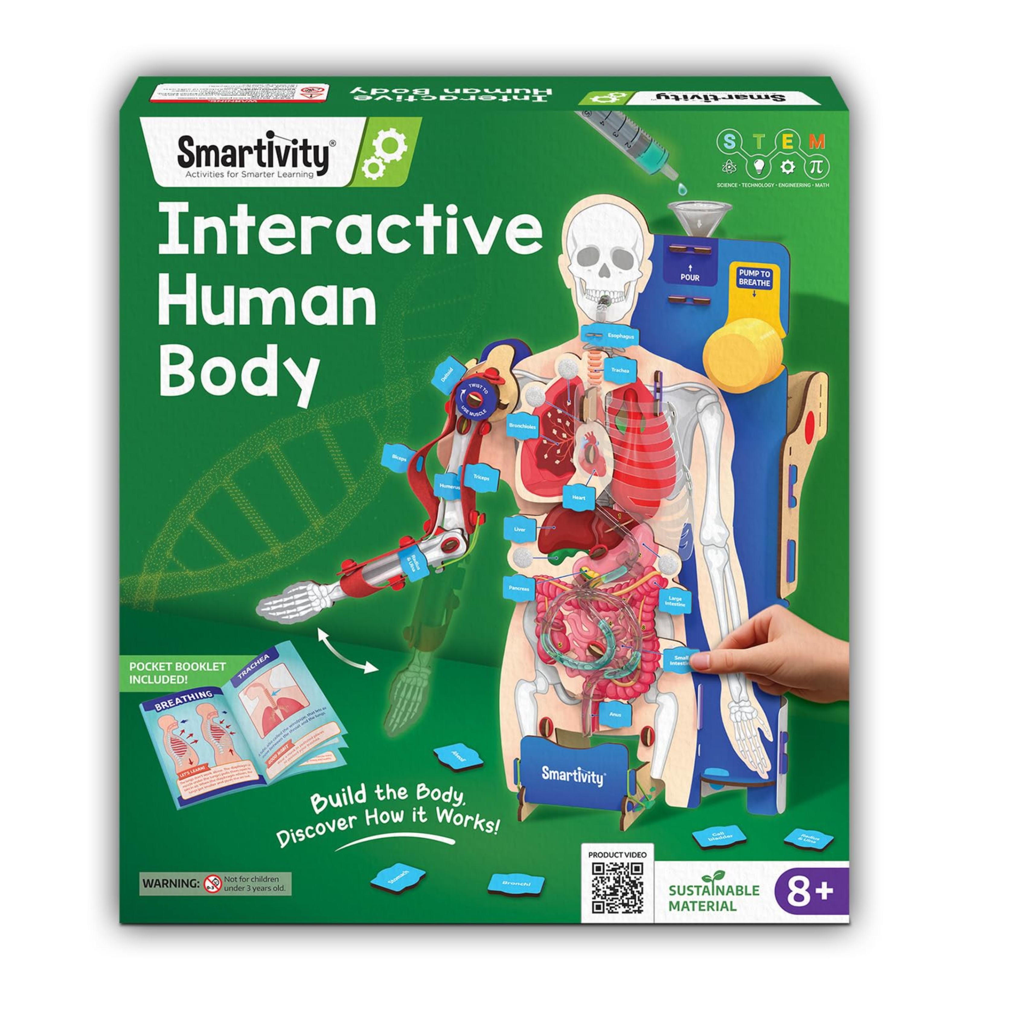Smartivity Interactive Human Body Model for Kids 8-14 Years I Dynamic Body Parts & Organs + Learning Booklet |Educational Toy