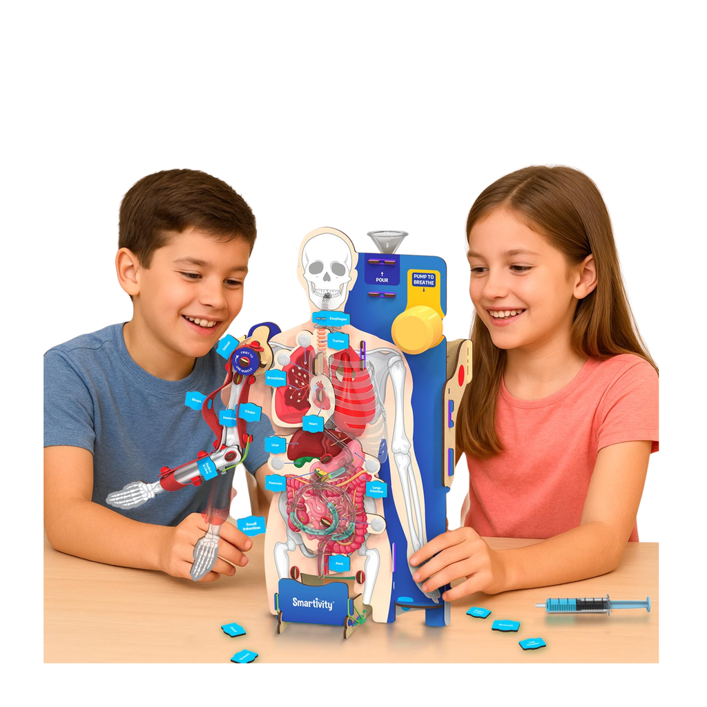 Smartivity Interactive Human Body Model for Kids 8-14 Years I Dynamic Body Parts & Organs + Learning Booklet |Educational Toy