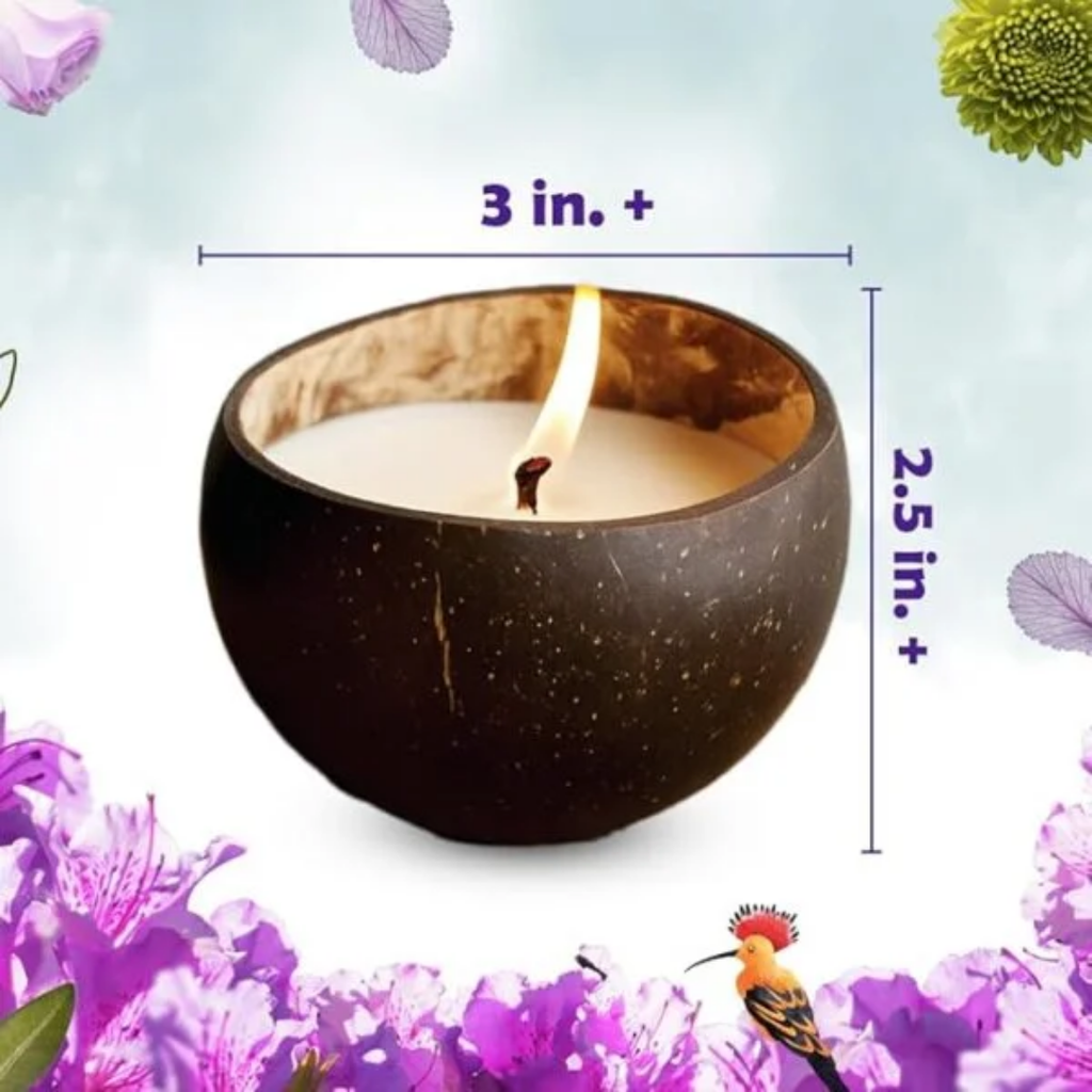 KREEDA Candle Making Kit for Kids & Adults Sea Shell Candle Making