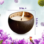 KREEDA Candle Making Kit for Kids & Adults Sea Shell Candle Making