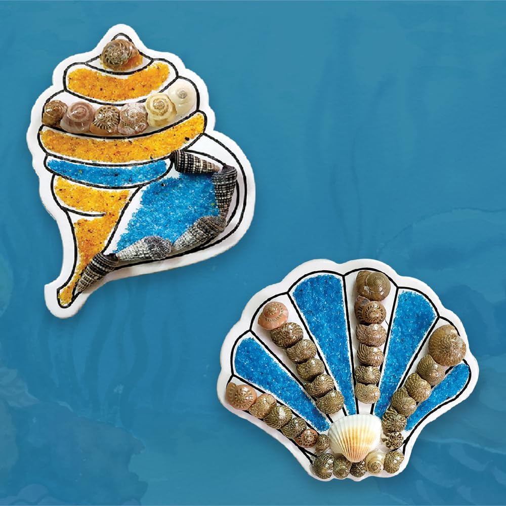 ToyKraft: Shell Fridge Magnets, Art and Craft Kit for Kids, Fun & Learning Activity, Creative & DIY Toys, Kids Activity for 7 Years & Above, Birthday Return Gifts for Kids