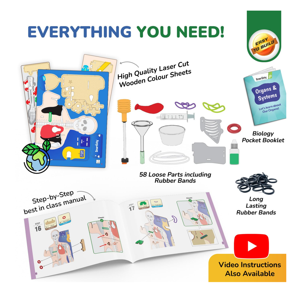 Smartivity Interactive Human Body Model for Kids 8-14 Years I Dynamic Body Parts & Organs + Learning Booklet |Educational Toy