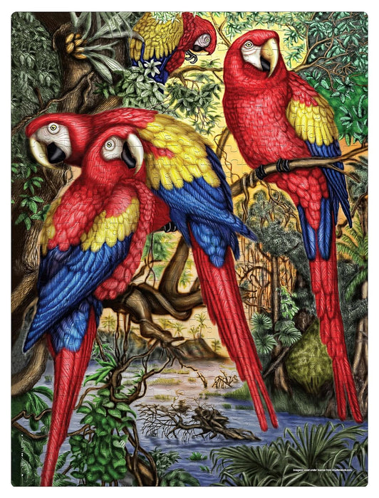 Frank Macaw Parrots Jigsaw Puzzle (500 Pieces) for Adults and Kid Above 10+ Years- Realistic Illustrations -Fun & Challenging Brain Booster Games - for Focus and Memory