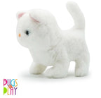 Fuzzbuzz Walking Pets: Casper Cat | Pugs At Play