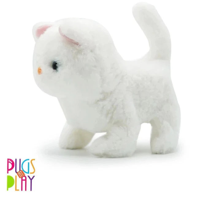 Fuzzbuzz Walking Pets: Casper Cat | Pugs At Play