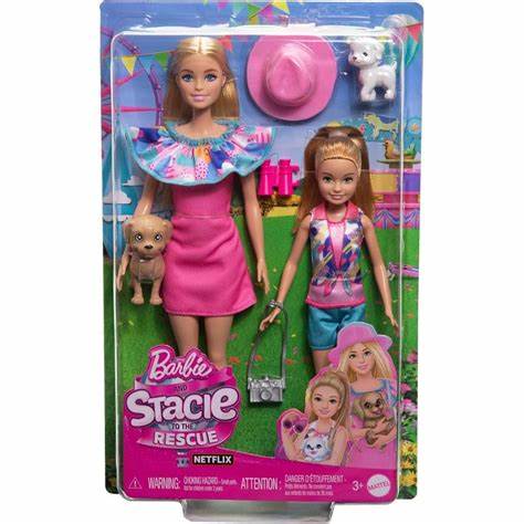 Barbie & Stacie Doll Set with 2 Pet Dogs & Accessories, Dolls with Blonde Hair & Blue Eyes, Summer Clothes
