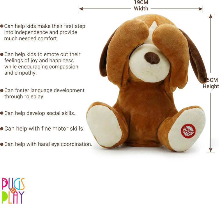 Dash The Dog (Peek-a-Boo Interactive Plush) | Push