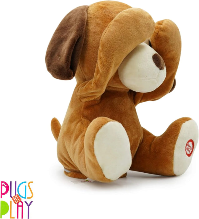 Dash The Dog (Peek-a-Boo Interactive Plush) | Push