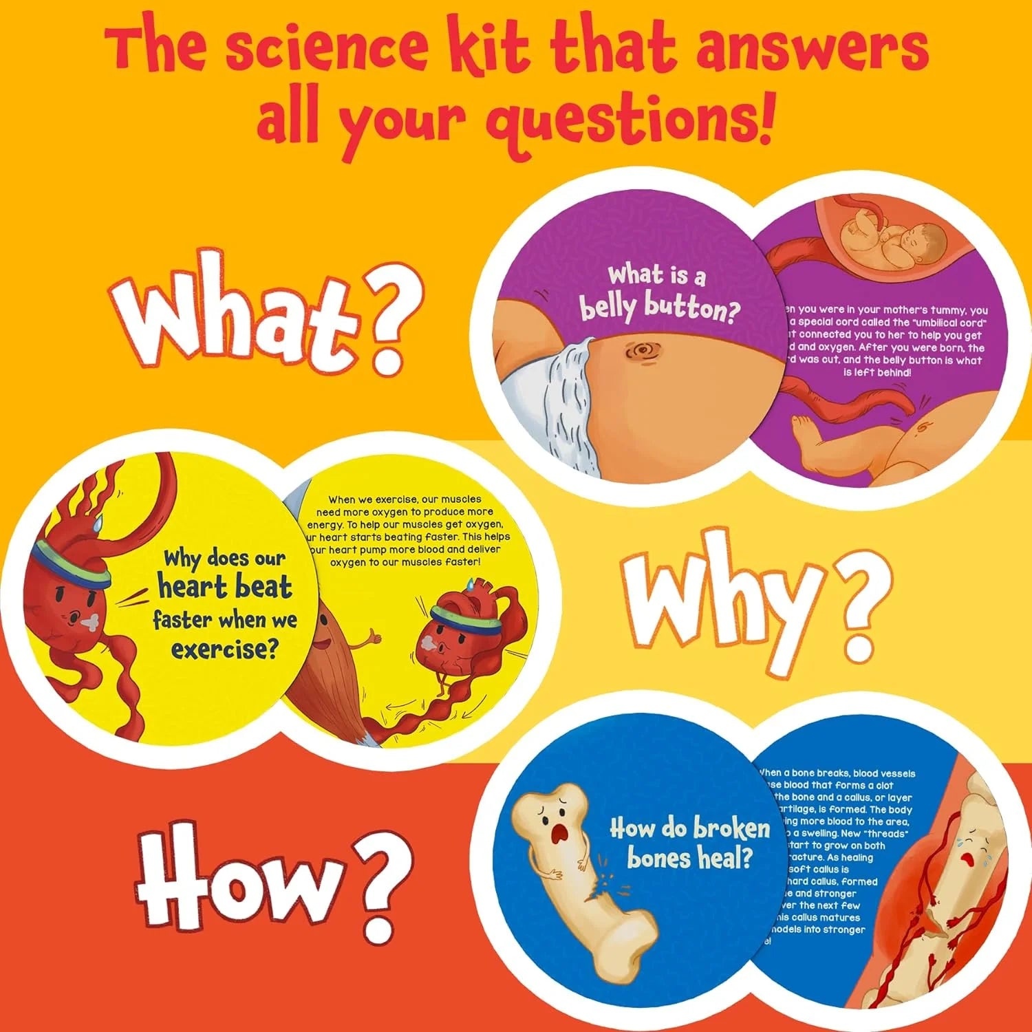 Skillmatics Science Snippets Kit - The Human Body