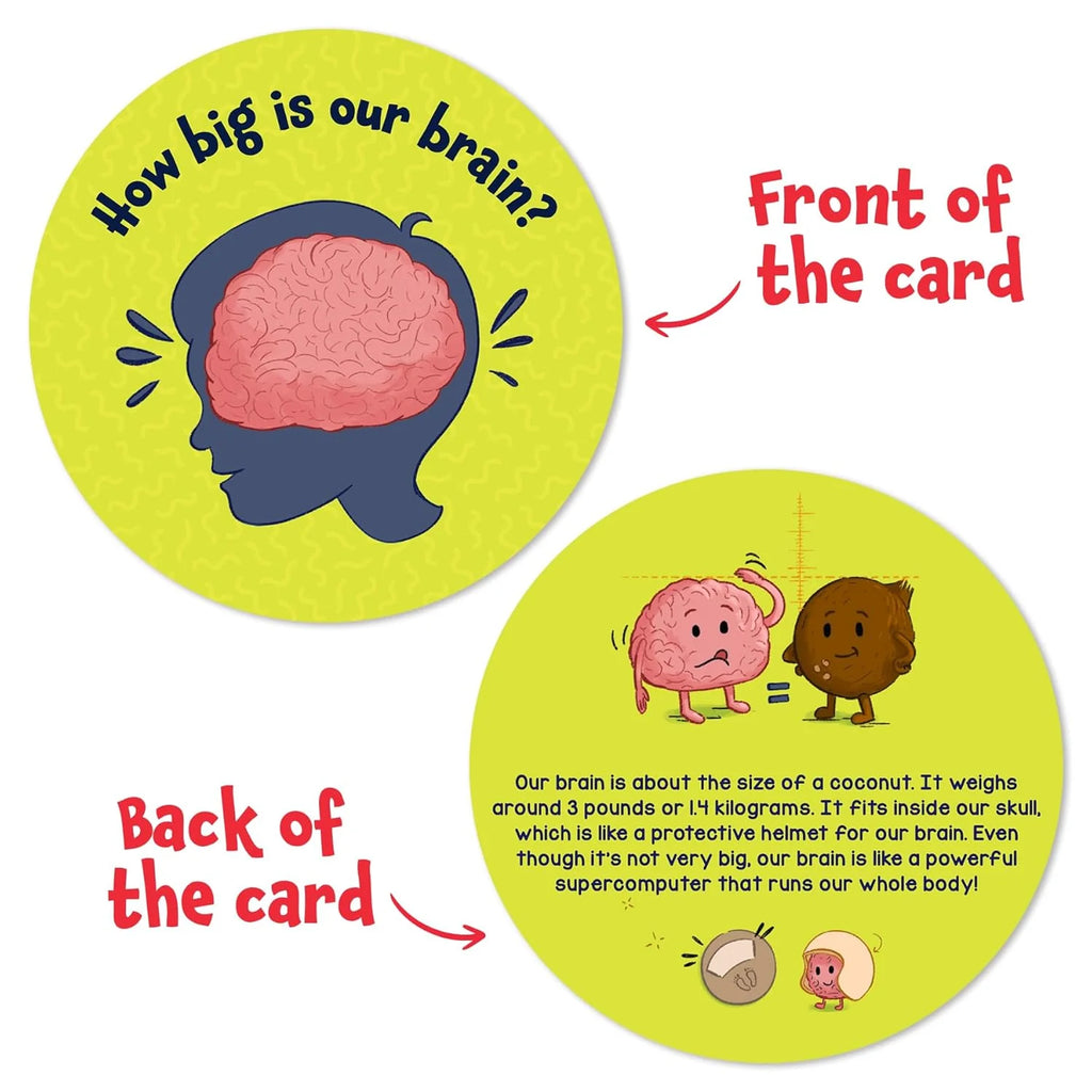 Skillmatics Science Snippets Kit - The Human Body
